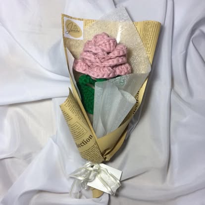 Pink Carnation Solo