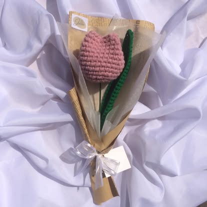 Pink Tulip Solo